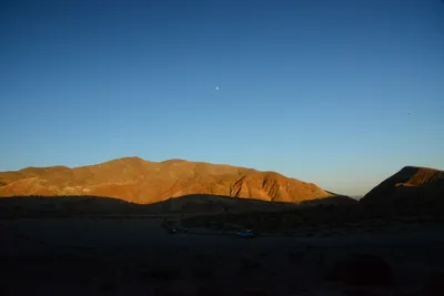 DSC_0280 (Large).JPG